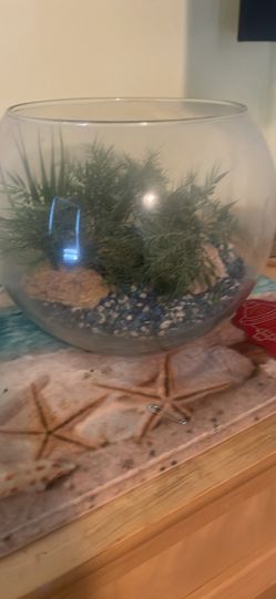 Fish Bowl Glass