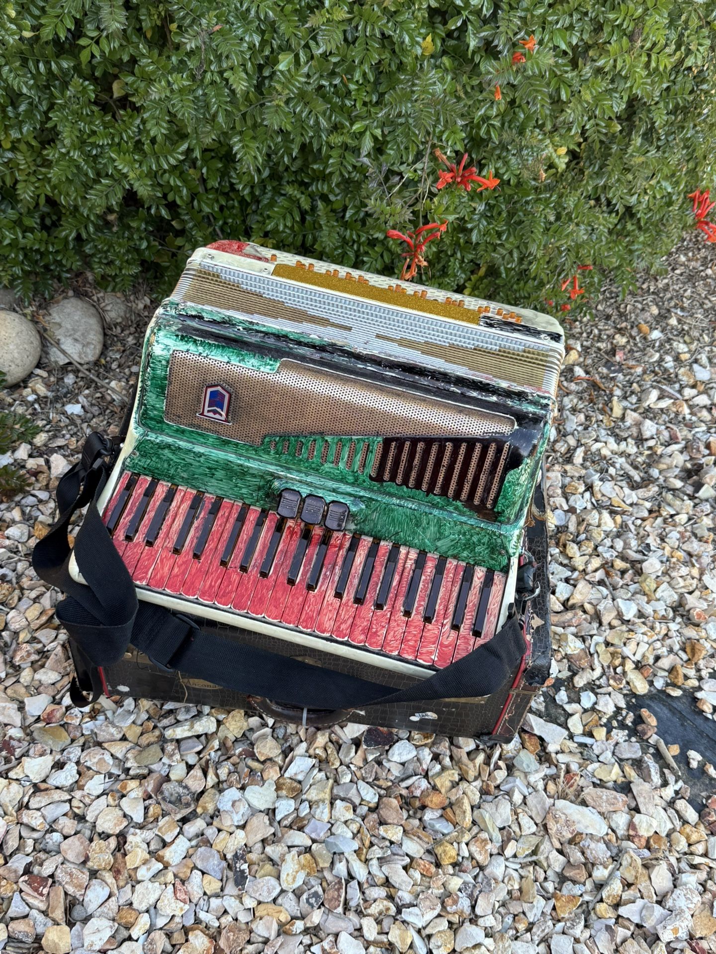 Italian Piano Accordion 🪗