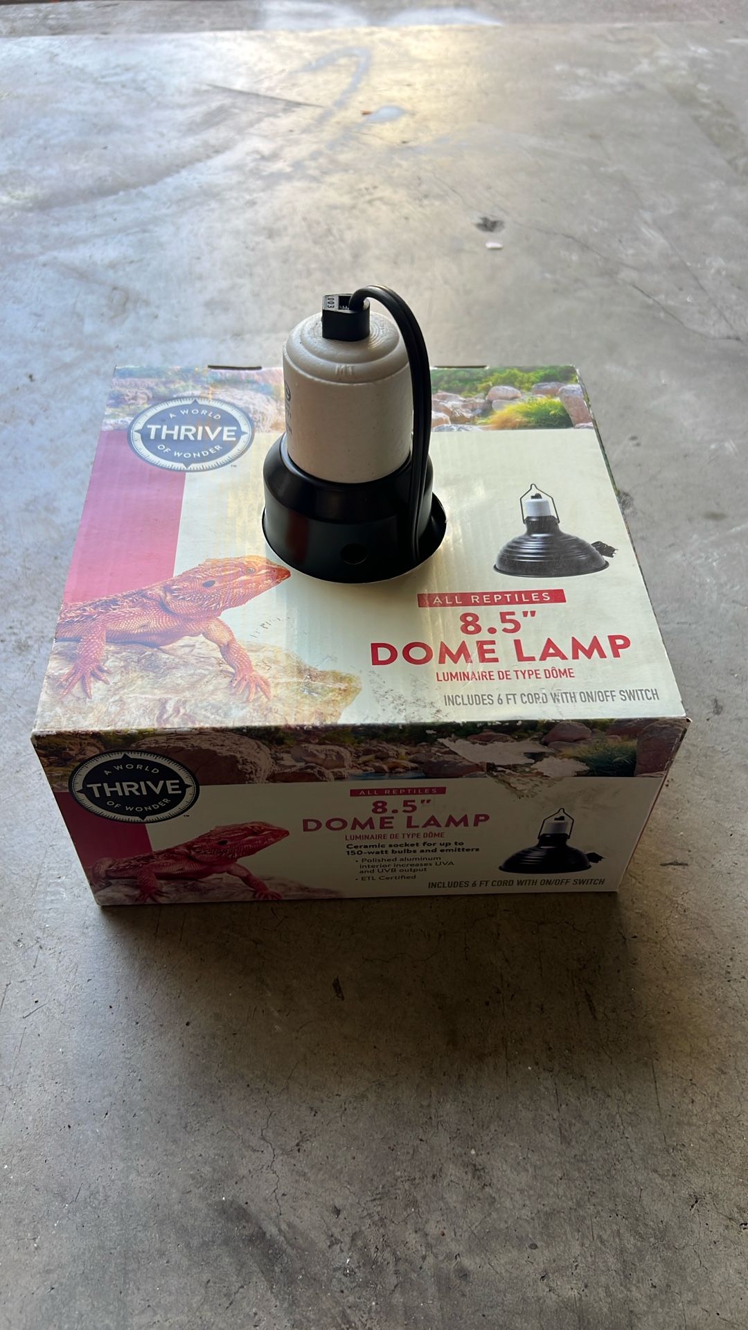 Thrive 8.5” Dome Lamp