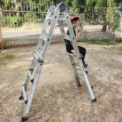 Ladder Multi Use System