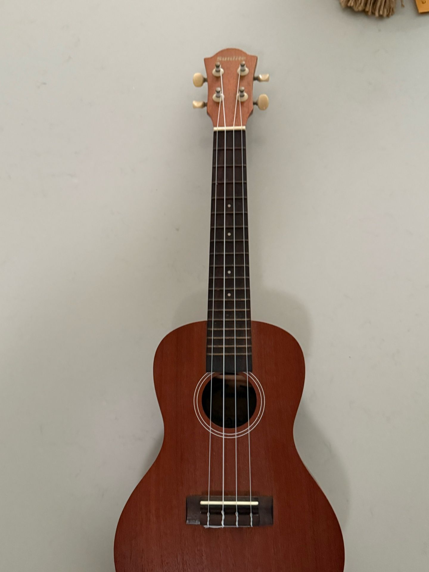 Ukulele 