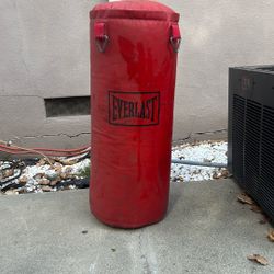 Everlast punching bag 