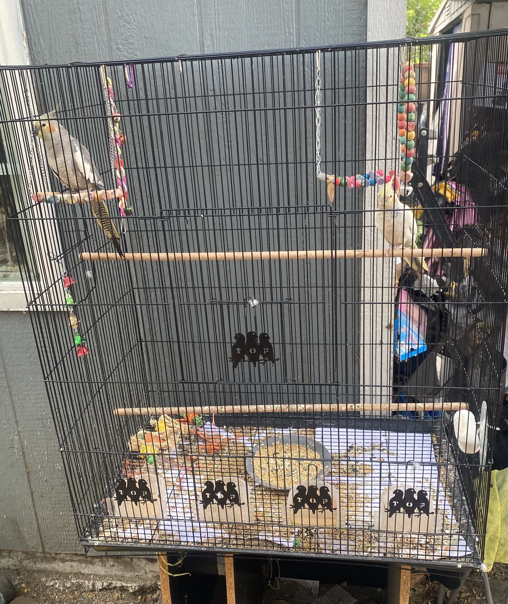 Large Cage For Cockatiels  