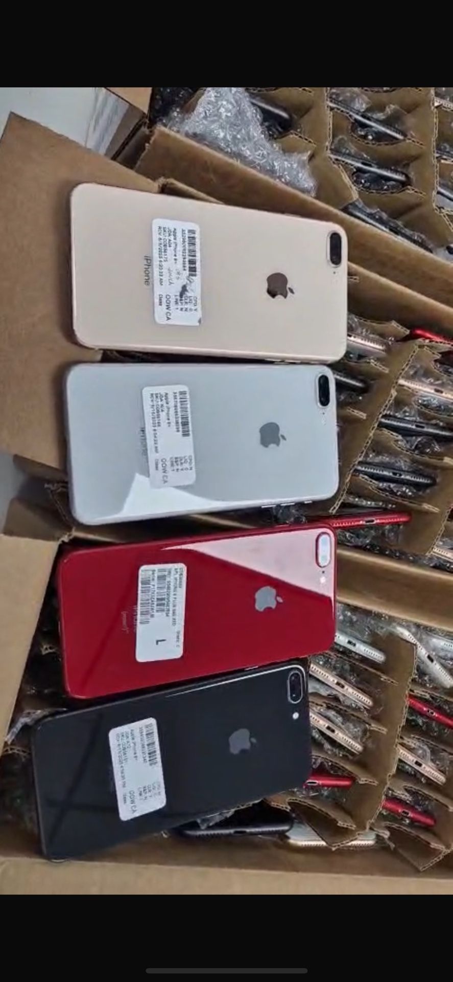 iPhone 8 Plus 