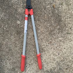 Limb And Beach Looper 