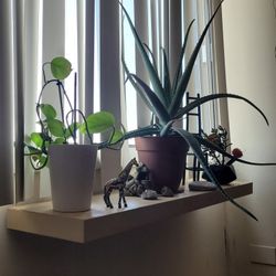 Maple FLOATING SHELVES WITH METAL BRACKET