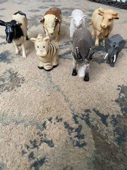 Animals