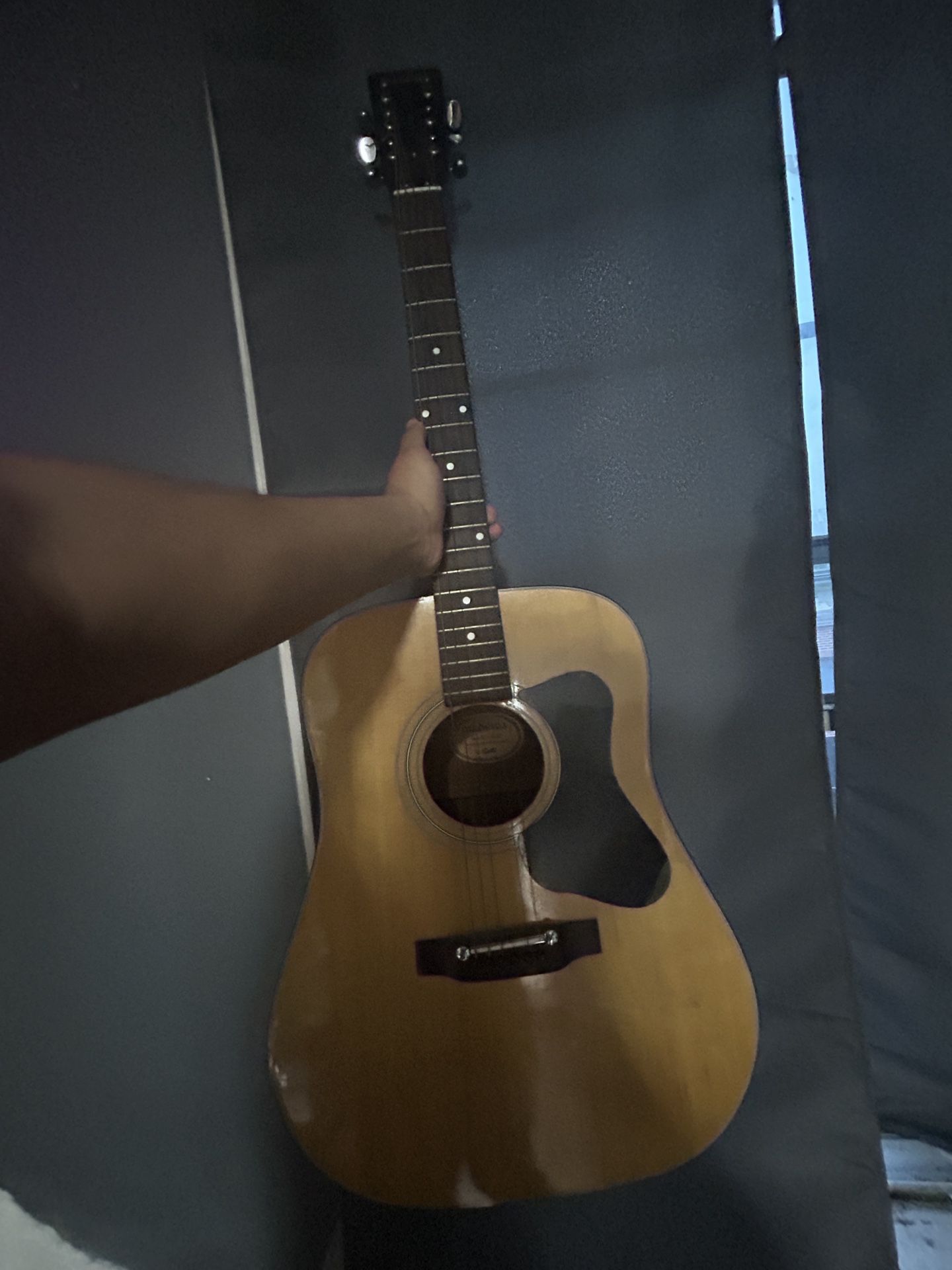 Guitar ( Madeira ) 