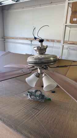 Ceiling fan (works perfectly)