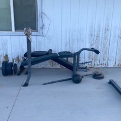Gold Gym Weights