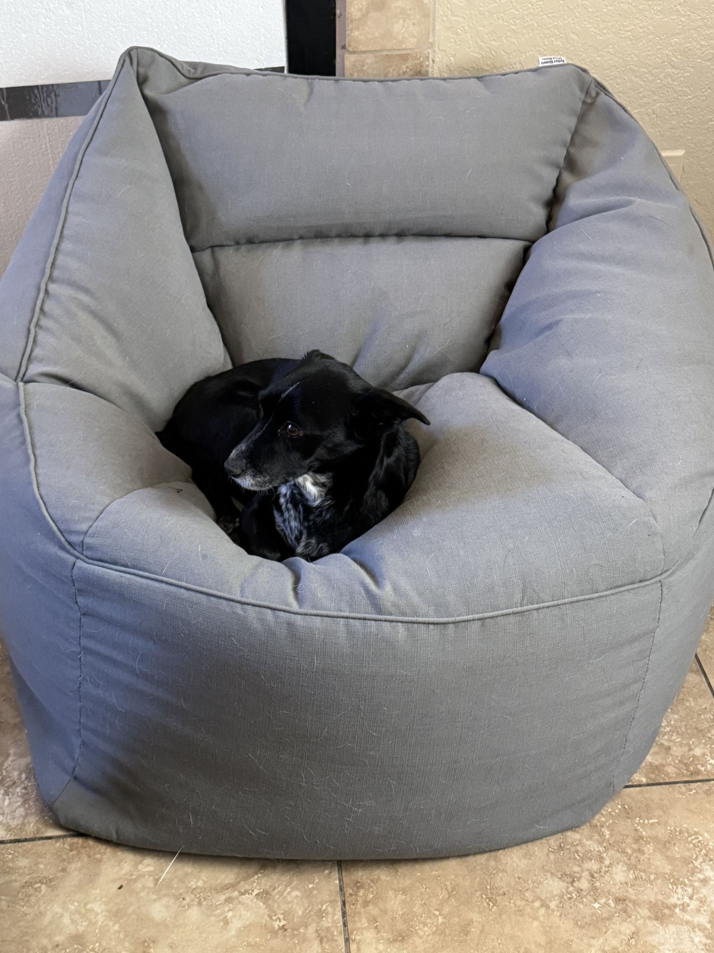 Bean Bag Chair