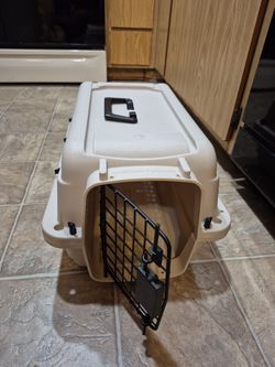 Dog or cat carrier