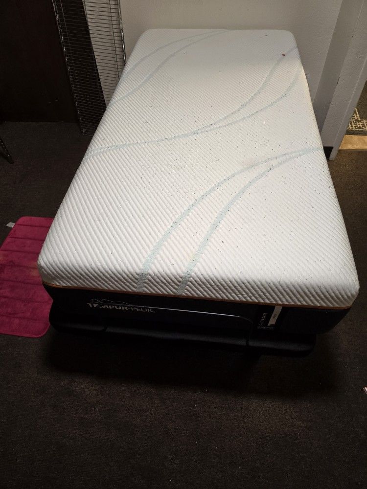 Twin Size Tempur Pedic And Couch