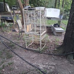 Bird Cage