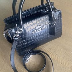 Coach Andrea Mini Carryall 