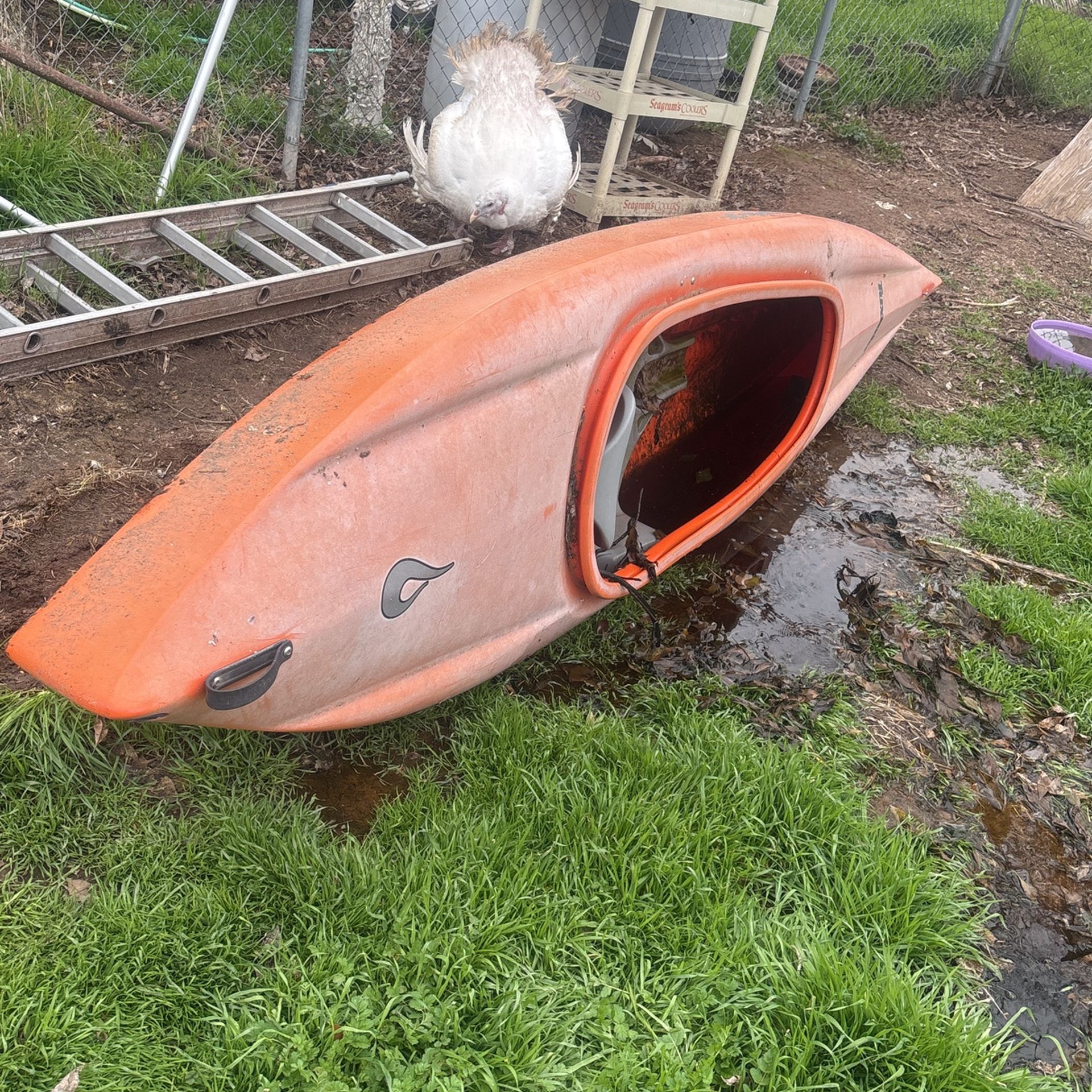 Kayak