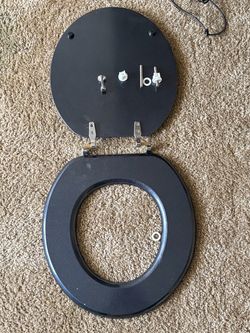Black Toilet Seat with Chrome Hinges
