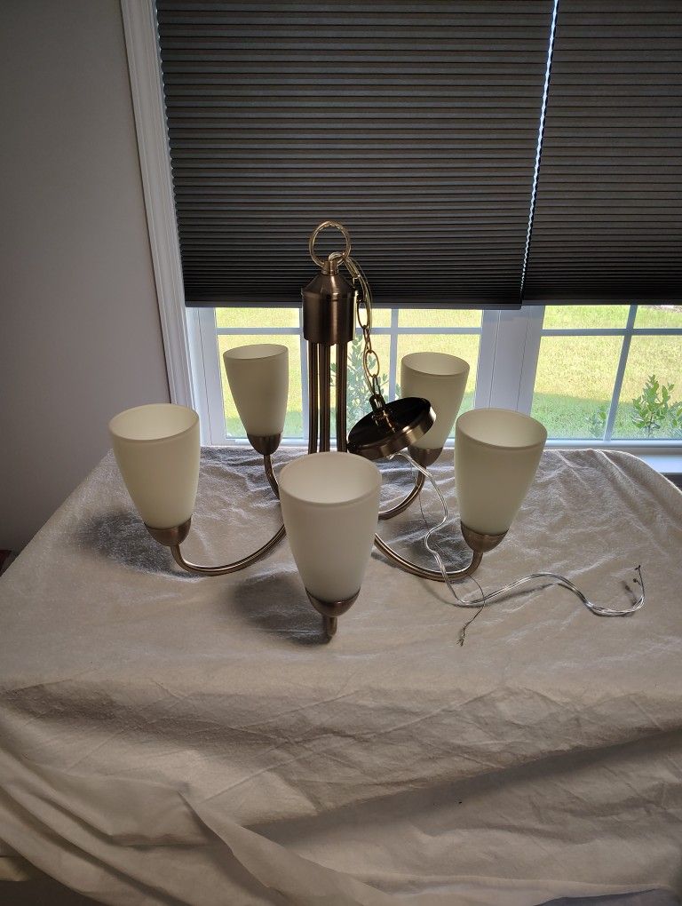 5 Light Chandelier 