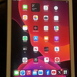 Cellular Compatible iPad