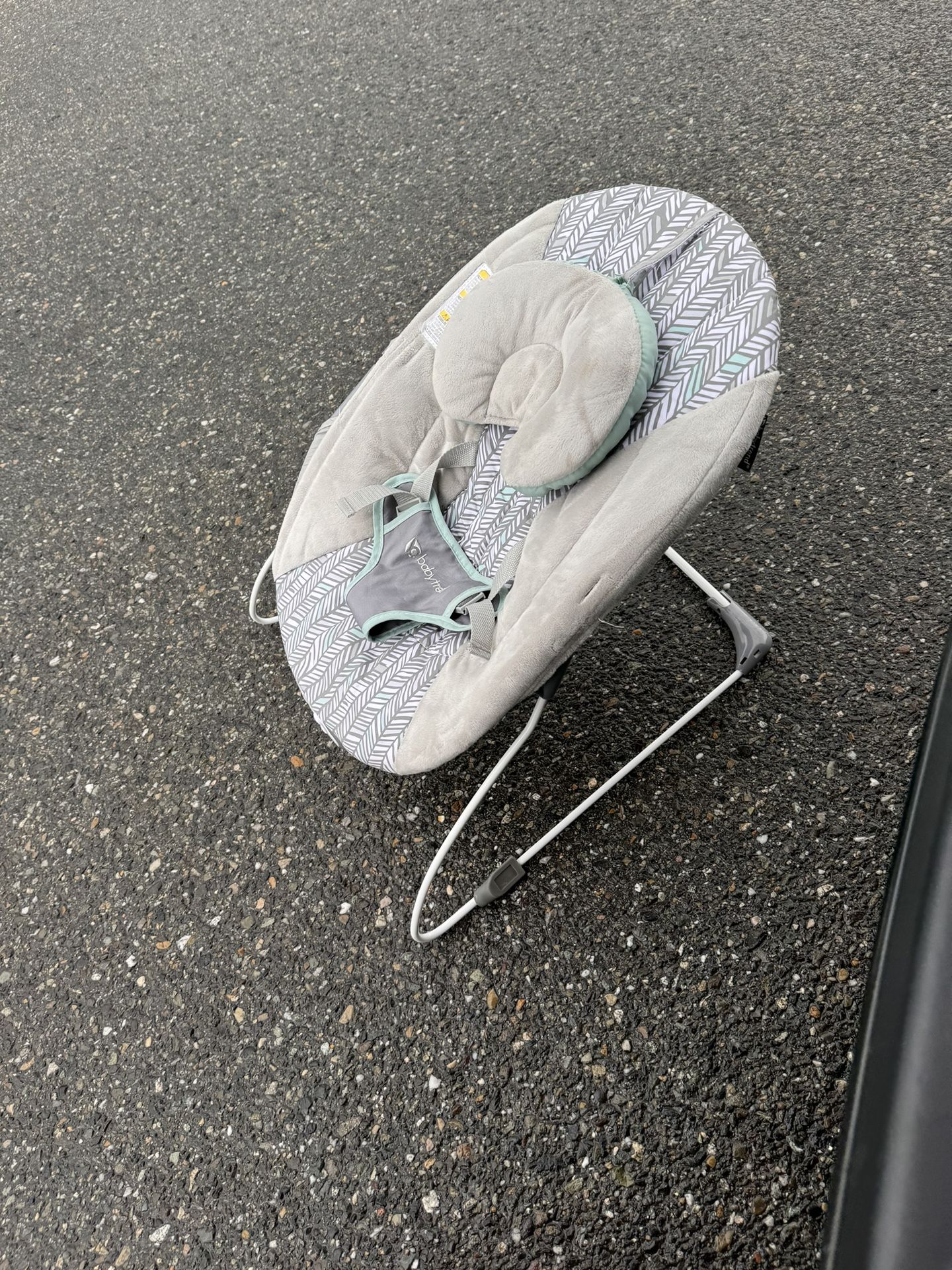 Baby Bouncer