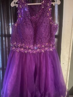Purple Dama Dress