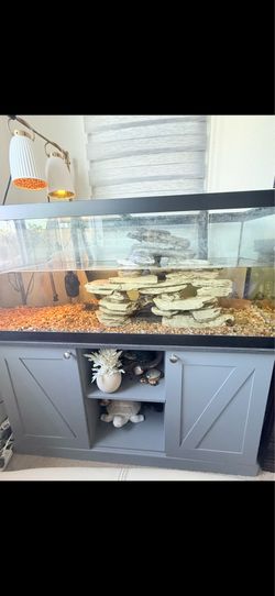 75 gallon Aquarium with Fluval X6 Filter, Stand, and Accessories