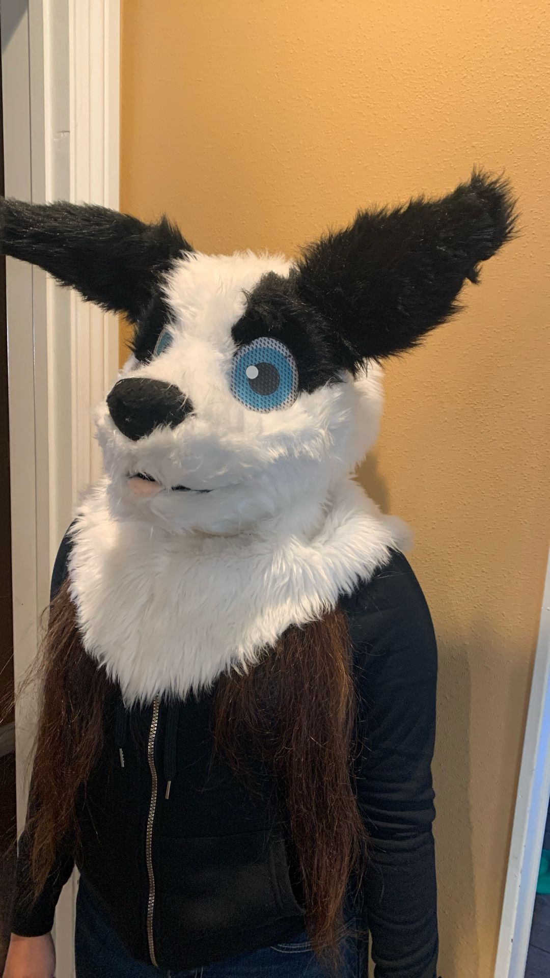 Furry Head For Sell 