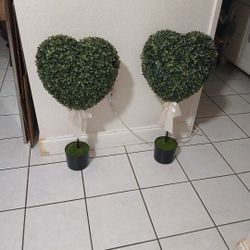 Heart Shape with Pots Topiary Tree Uv Resistance 