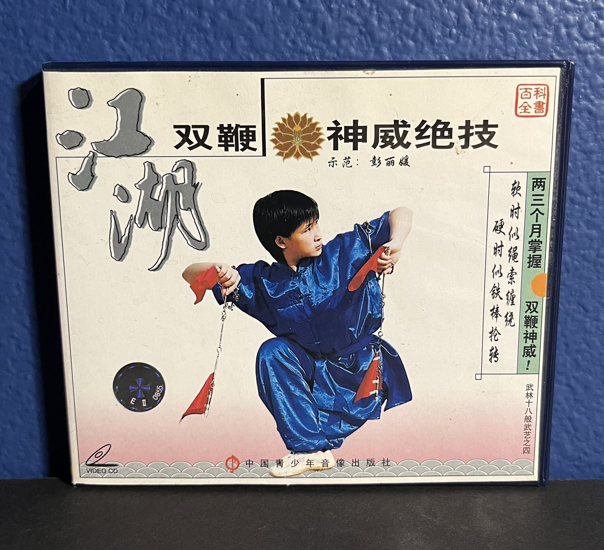 Jiang Hu Double Weapon Kung Fu Instructional VCD Set (1999)