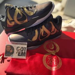 Kobe V Proto Eggplant Year Of The Mamba Sz 9 9.5