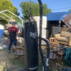 Punching Bag And Stand Both For $125