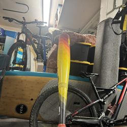 Easton Hype Fire USSSA bat 31 -5