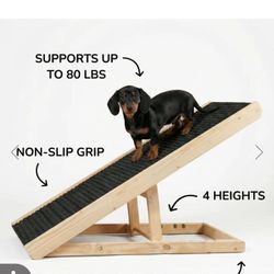 New Alpha Paws Doggie Stars