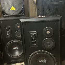 12” Hurricane Woofers In Black Wood Grain Cabinets 