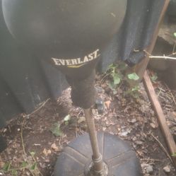 Adjustable Punching Bag