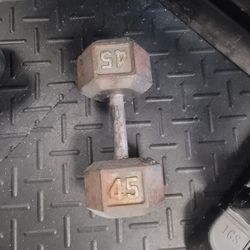 45lb Dumbbell