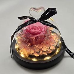 NEW Real Preserved Rose Everlasting Forever Eternal Flowers W/ LED Light