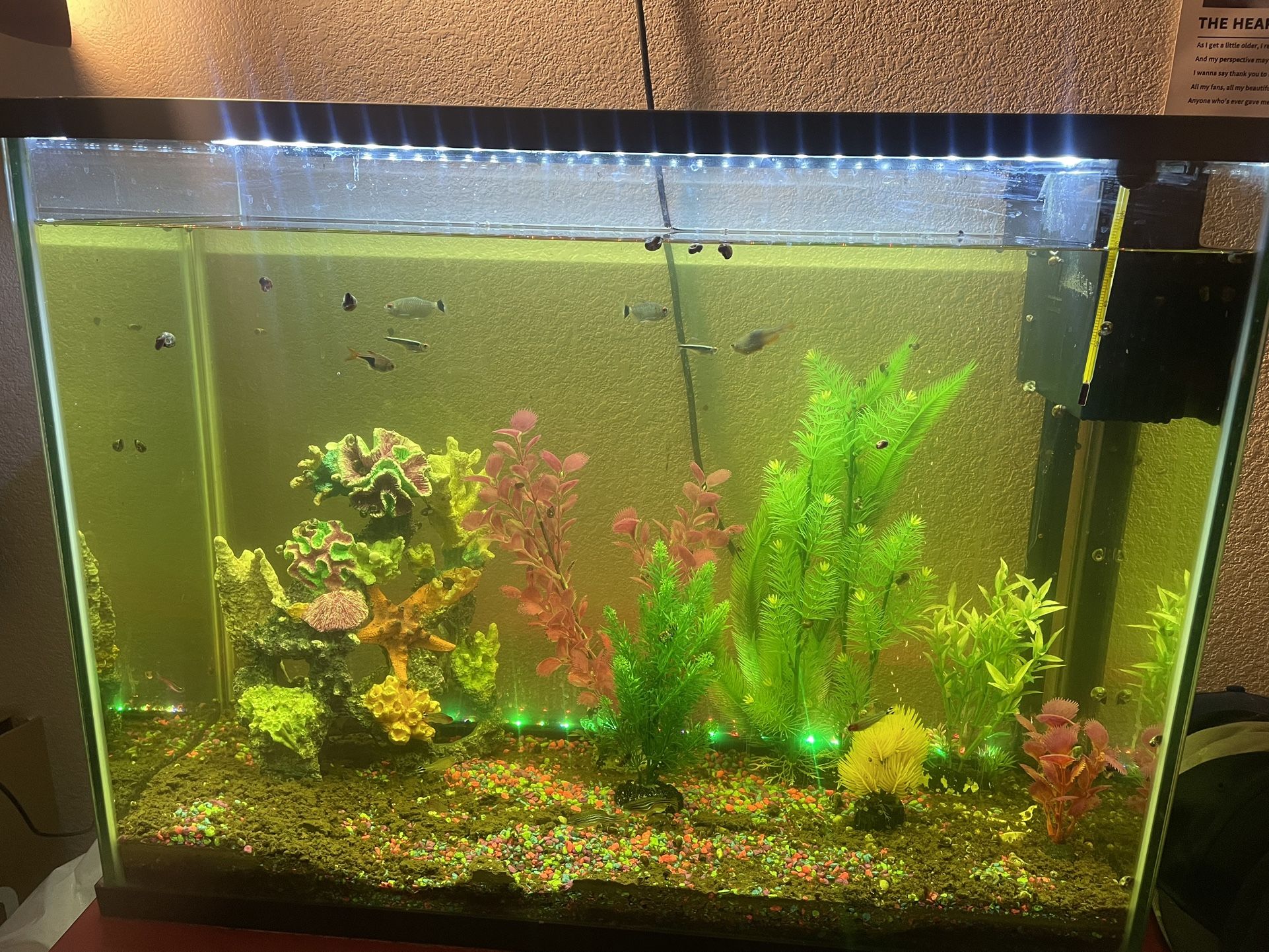 37-Gallon Top Fin LED Bubble Wall Aquarium Kit