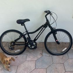 No Es Diamond, Back, Bicycle OCTANE 24