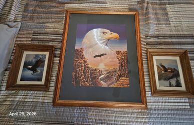 Eagle Pictures