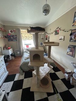 Lightly Used Cat Tree