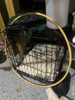 Small Black Wire Dog Crate