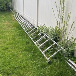 40 Foot Ladder ALUMINUM 