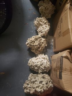 Coral Rocks (Salt Water) Still available