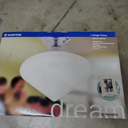 Flush Mount Modern Vintage Light