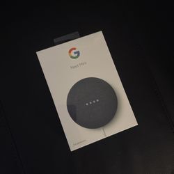 Google Nest Mini