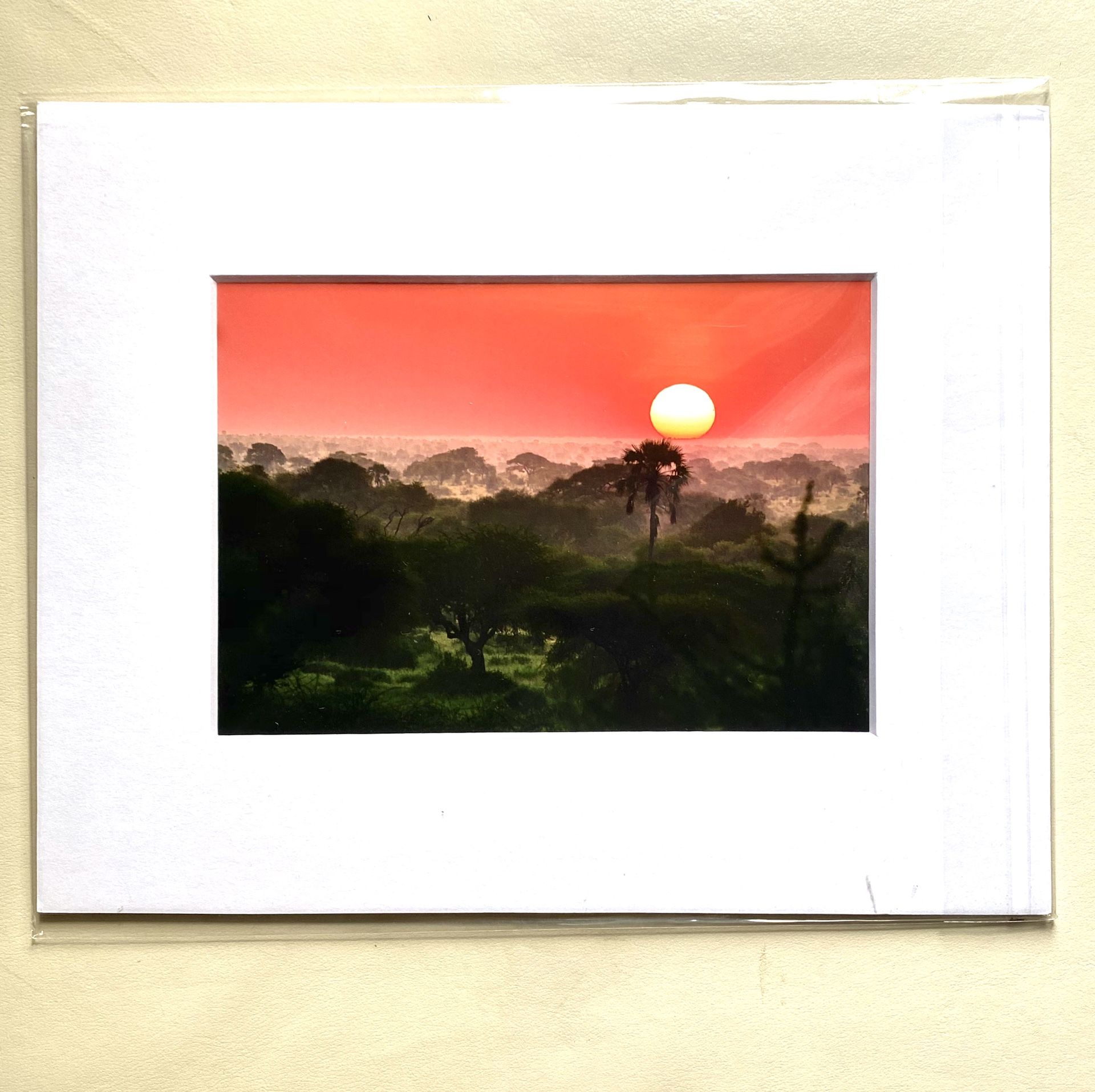 Photograph- Sunset in Africa