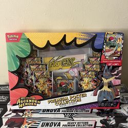 Pokemon ascended hero’s Premium Poster Collection Mega Lucario