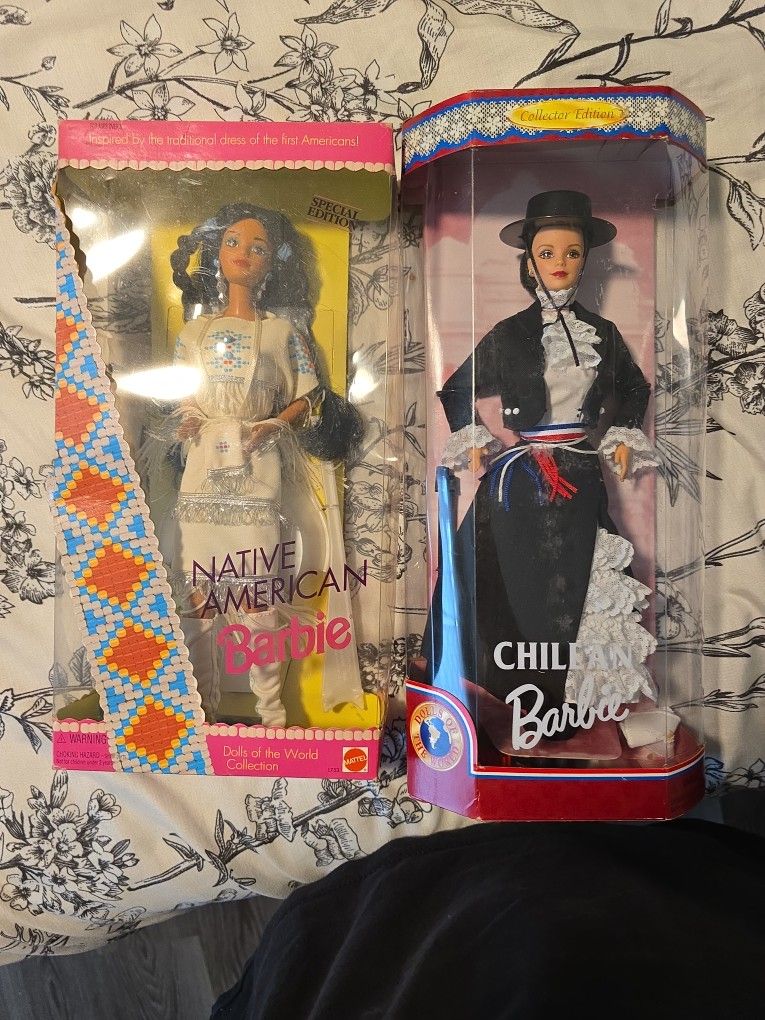 Chilean And Native American Barbie