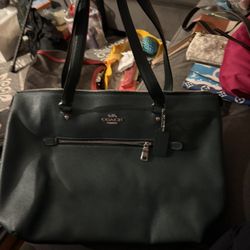 Michael Kors And Coach Purses 